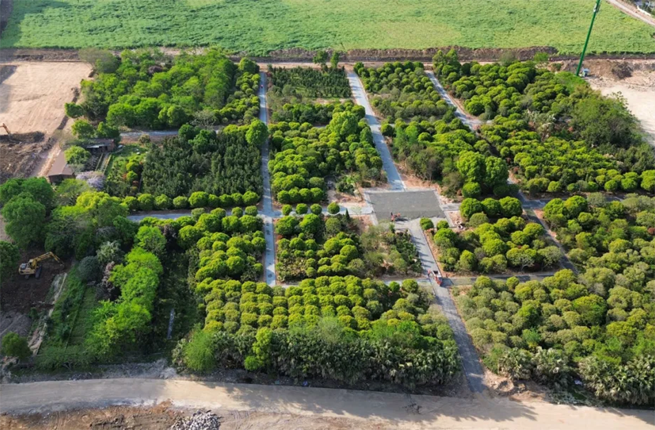 南昌九洲公園稻香園及植物園項目沖刺:農旅融合打造生態文旅新地標 南昌九洲公園稻香園及植物園項目沖刺:農旅融合打造生態文旅新地標